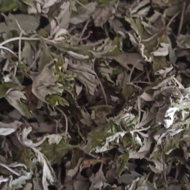 郑州中药批发